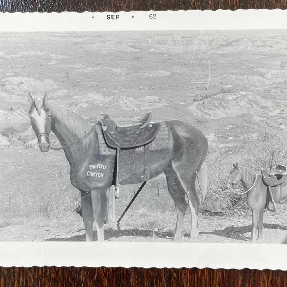 Vintage black/white photo (1962) horse sculpture at painted canyon
